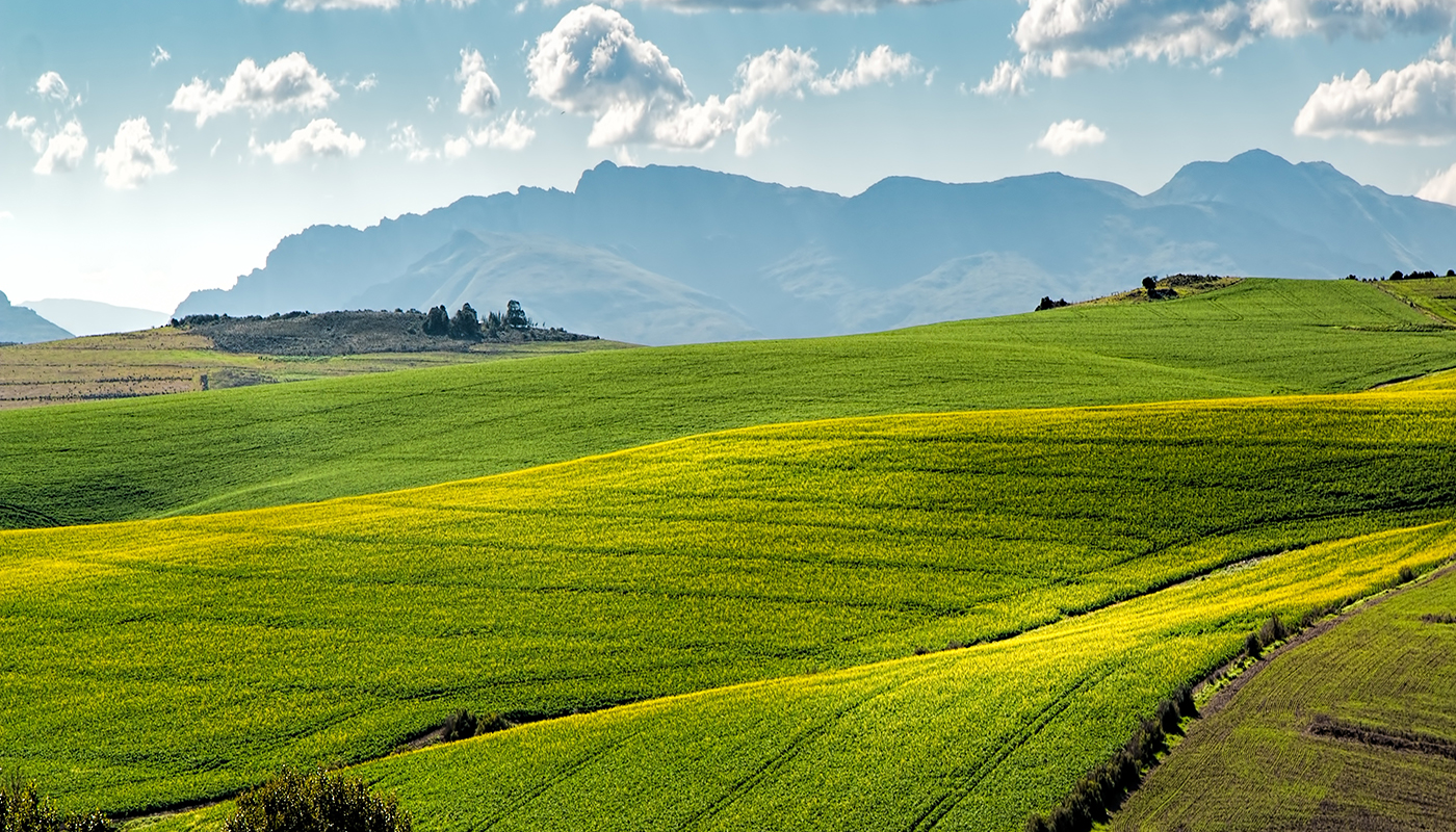 Green economy e Green communities in montagna e nei territori rurali