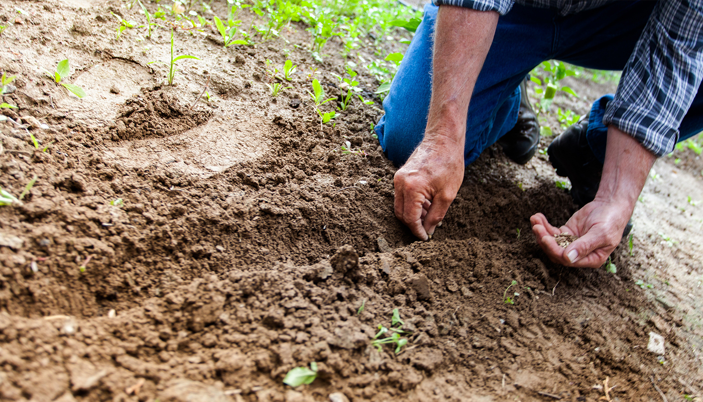 Agricoltura e cambiamento climatico